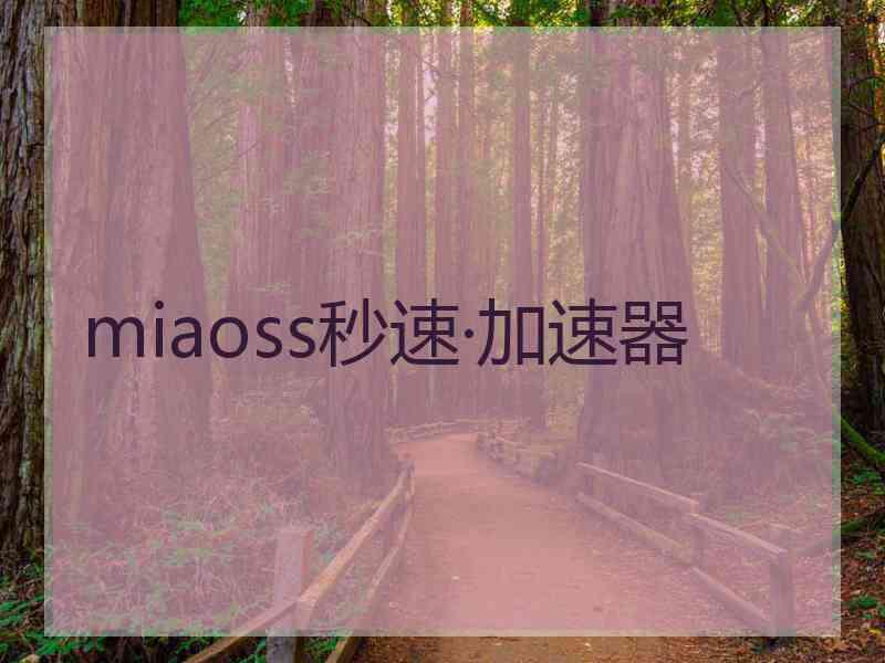 miaoss秒速·加速器