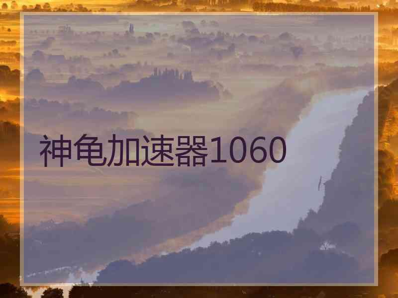 神龟加速器1060