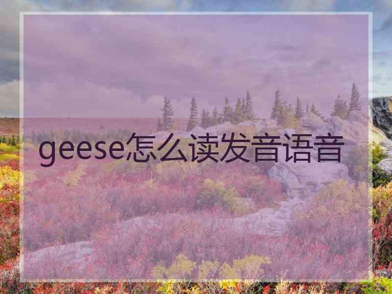 geese怎么读发音语音