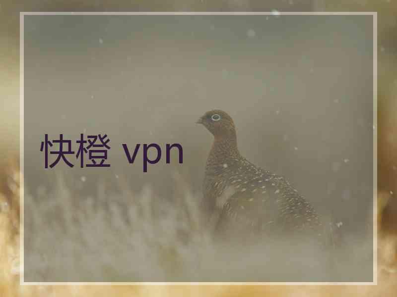 快橙 vpn