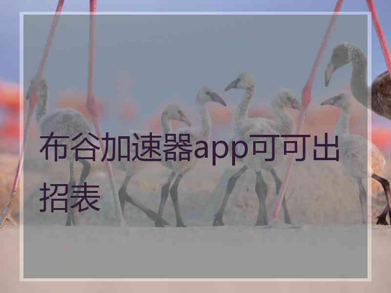 布谷加速器app可可出招表