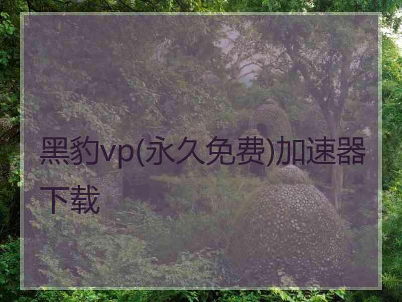 黑豹vp(永久免费)加速器下载