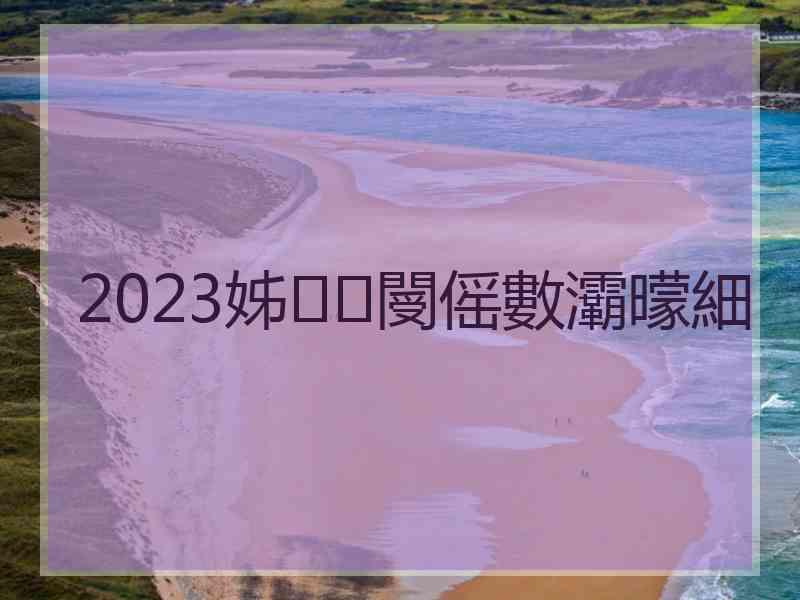 2023姊閿傜數灞曚細