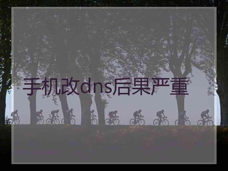 手机改dns后果严重