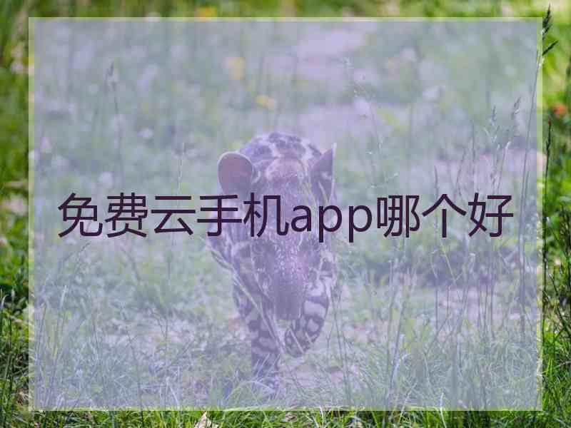 免费云手机app哪个好