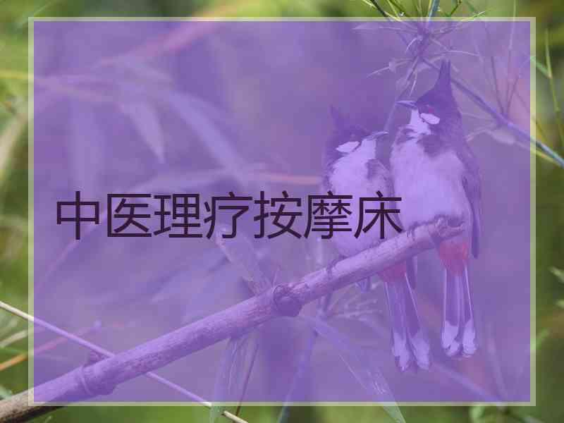 中医理疗按摩床