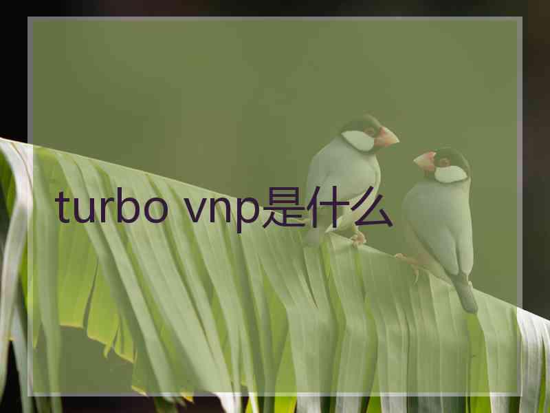 turbo vnp是什么