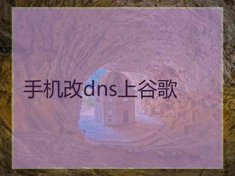 手机改dns上谷歌