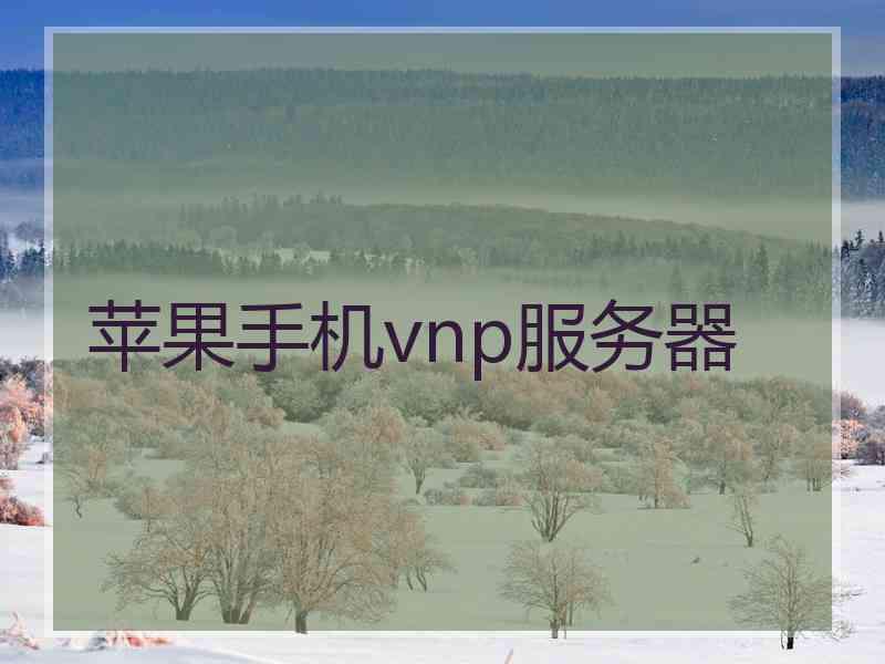 苹果手机vnp服务器