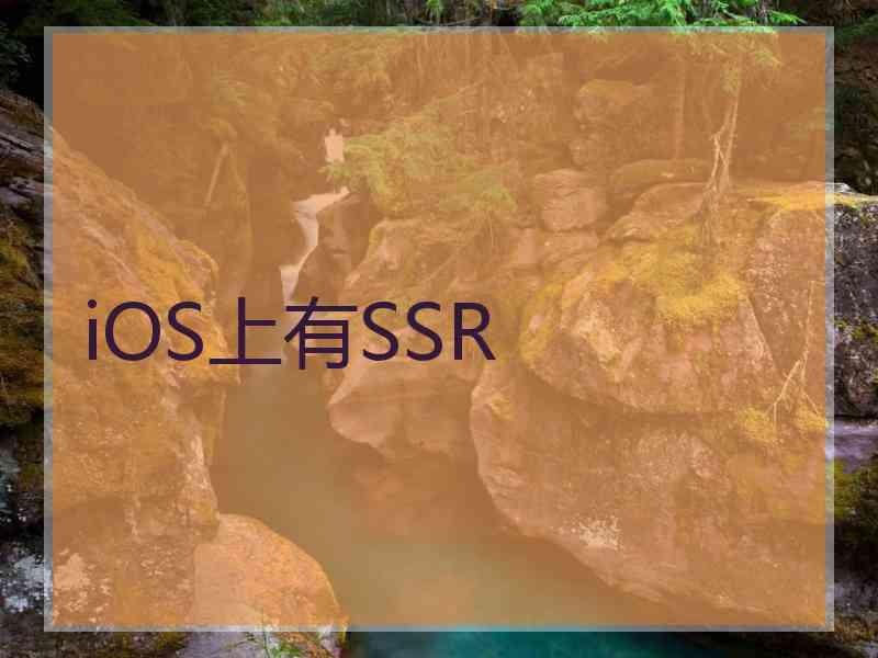 iOS上有SSR