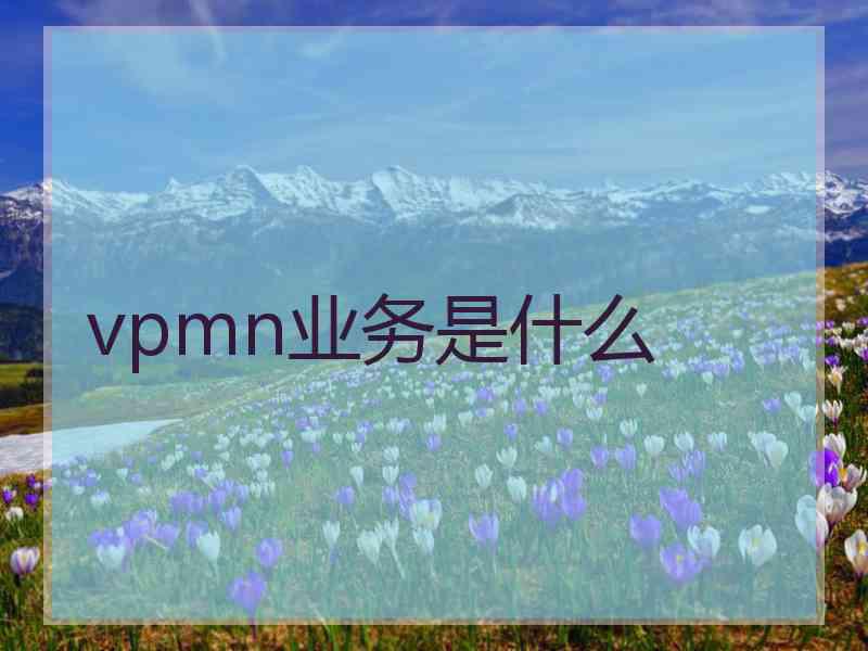 vpmn业务是什么