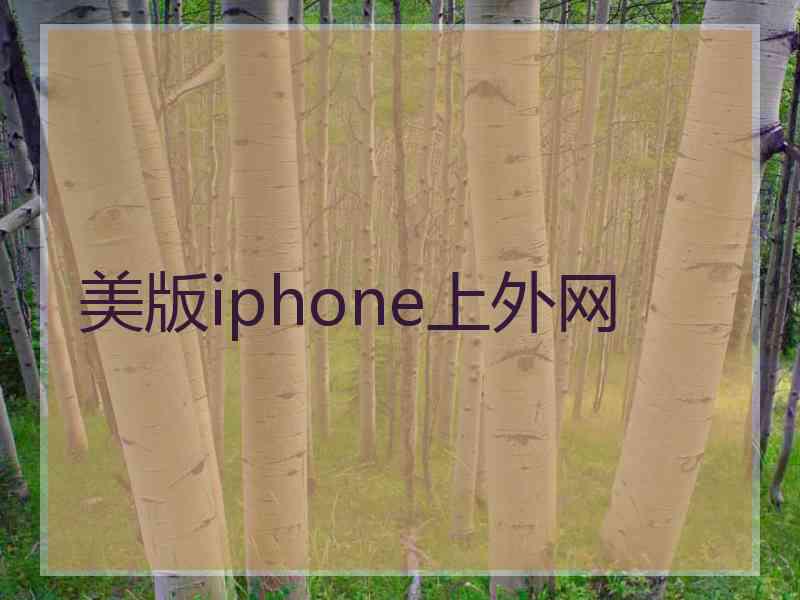 美版iphone上外网