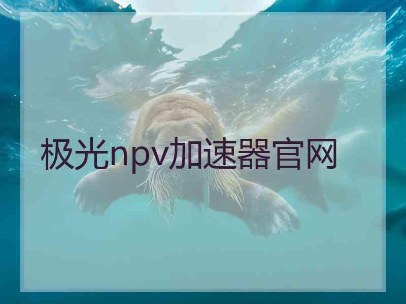 极光npv加速器官网