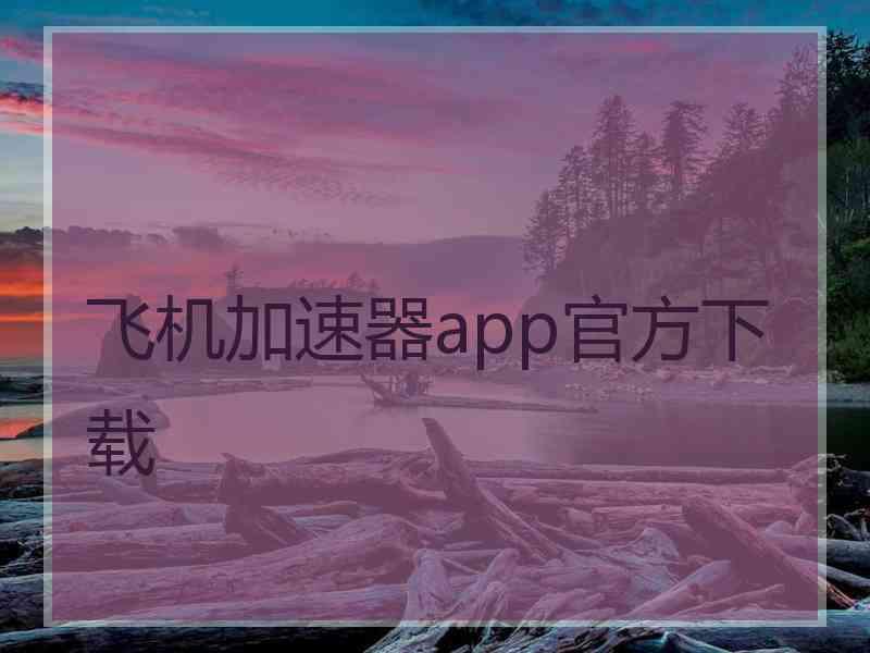 飞机加速器app官方下载