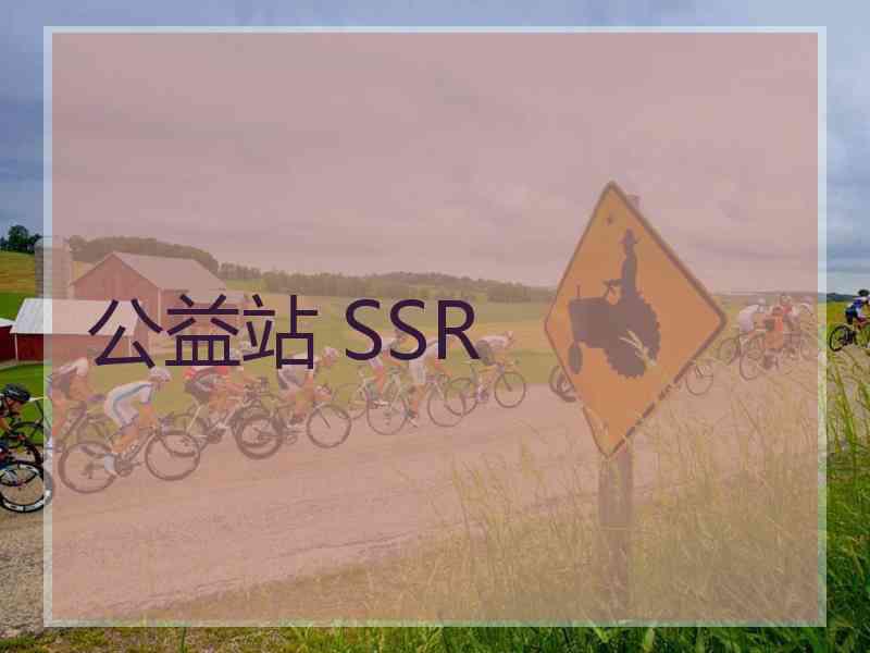 公益站 SSR