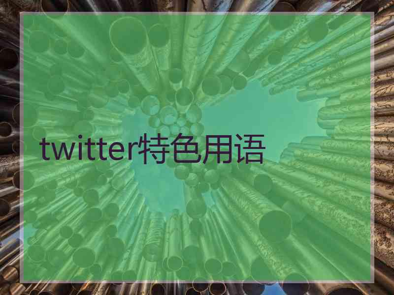 twitter特色用语