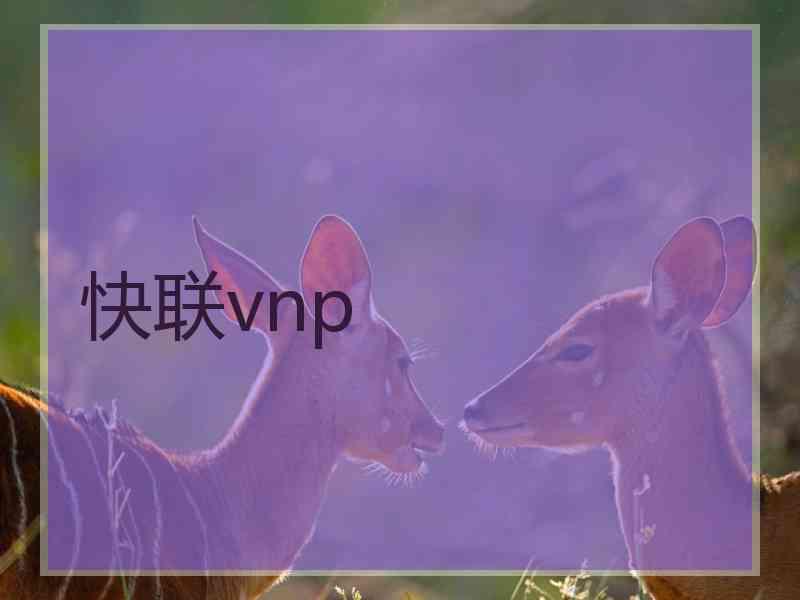 快联vnp