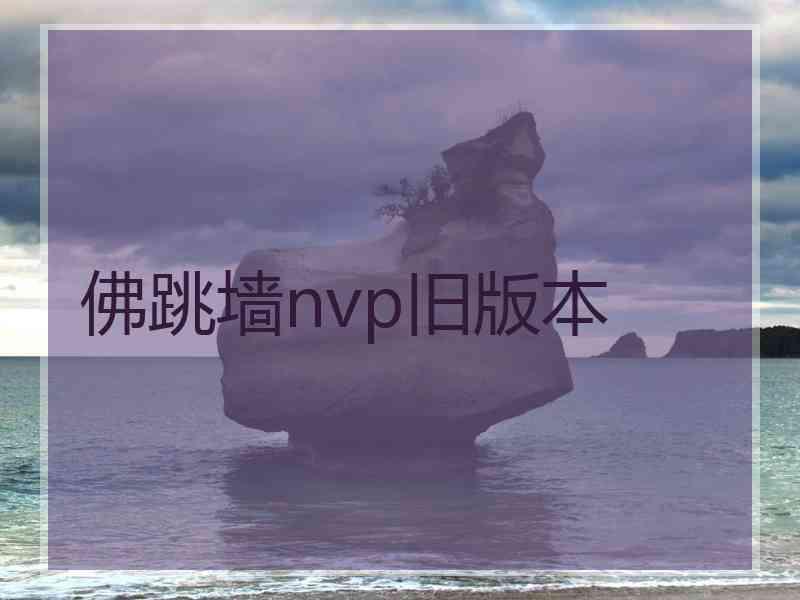 佛跳墙nvp旧版本