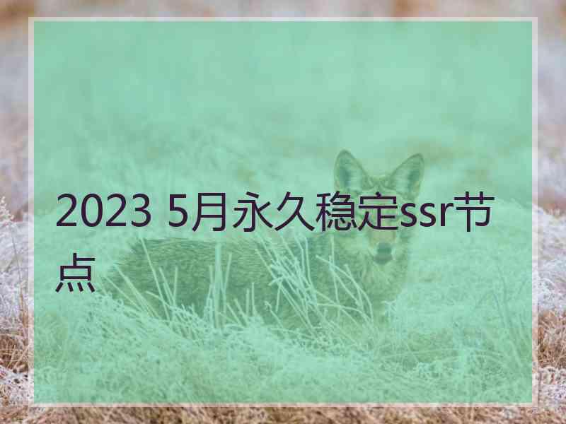 2023 5月永久稳定ssr节点