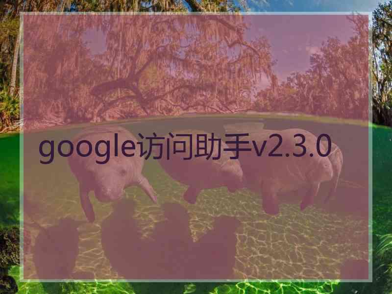 google访问助手v2.3.0