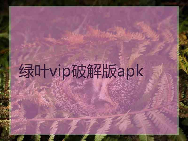 绿叶vip破解版apk