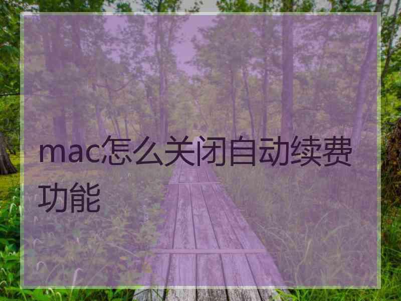 mac怎么关闭自动续费功能