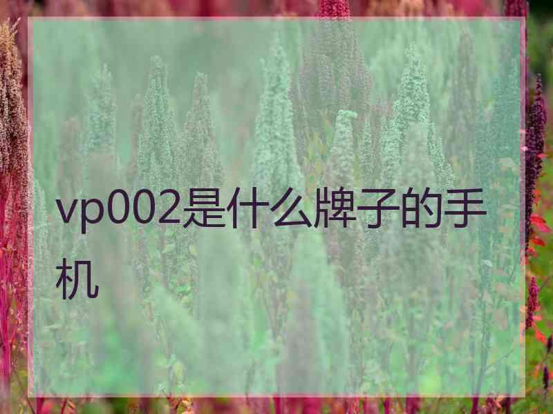 vp002是什么牌子的手机