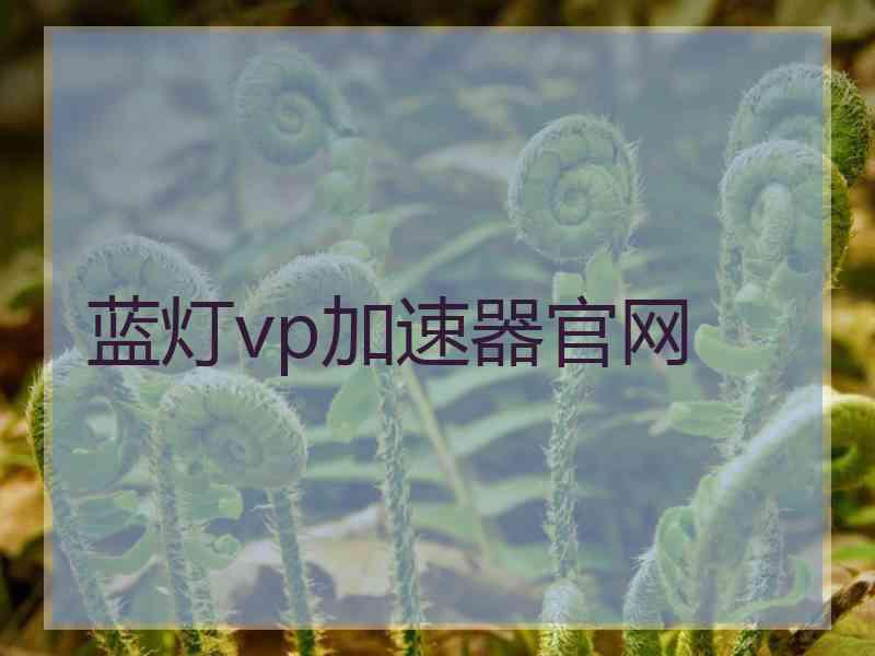 蓝灯vp加速器官网