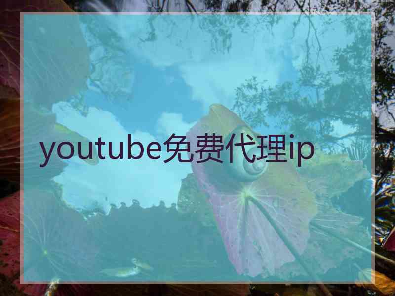 youtube免费代理ip