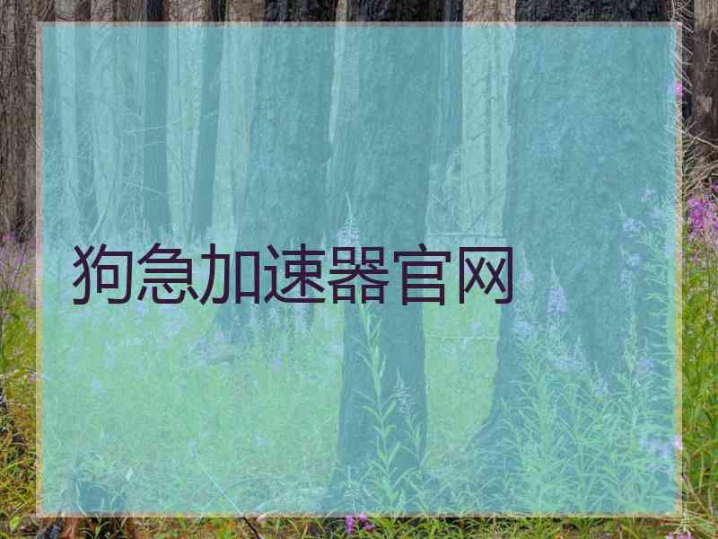 狗急加速器官网