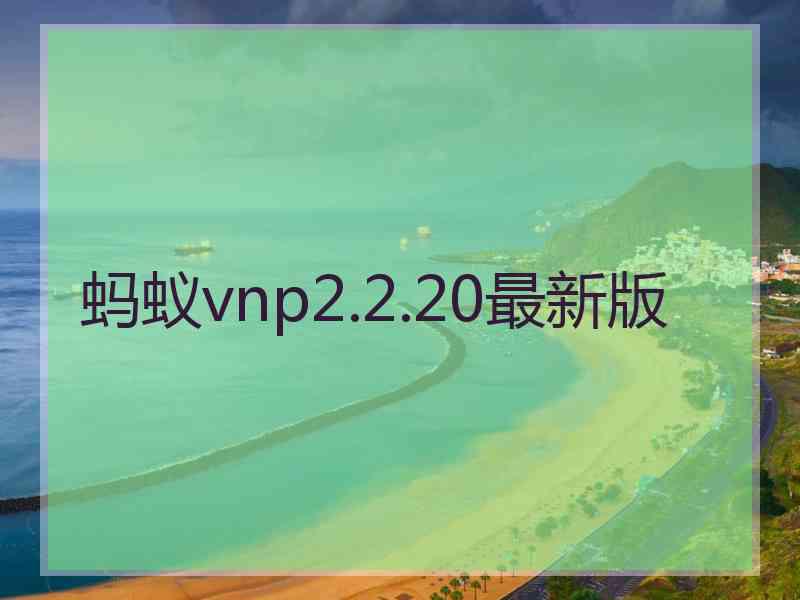 蚂蚁vnp2.2.20最新版