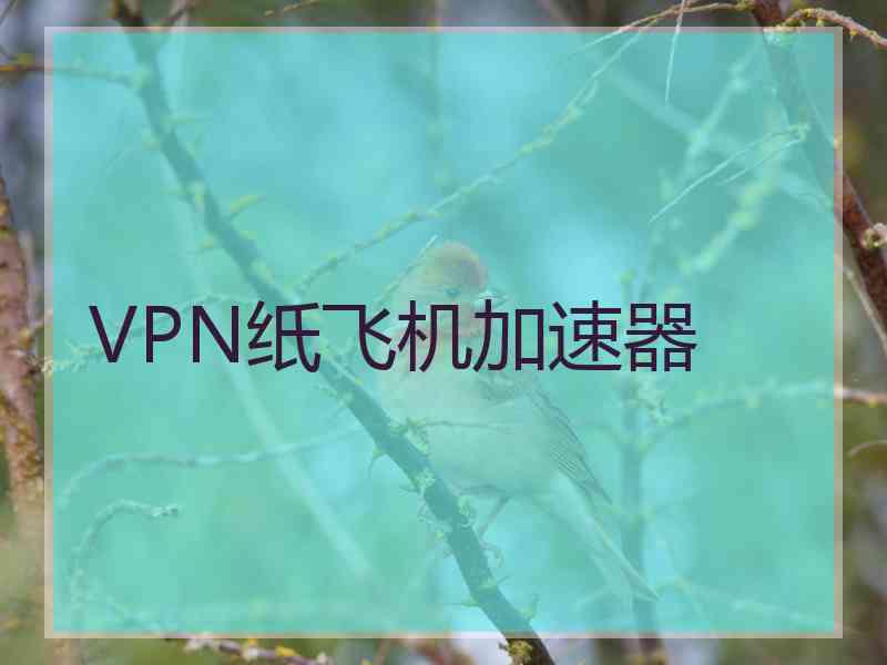 VPN纸飞机加速器