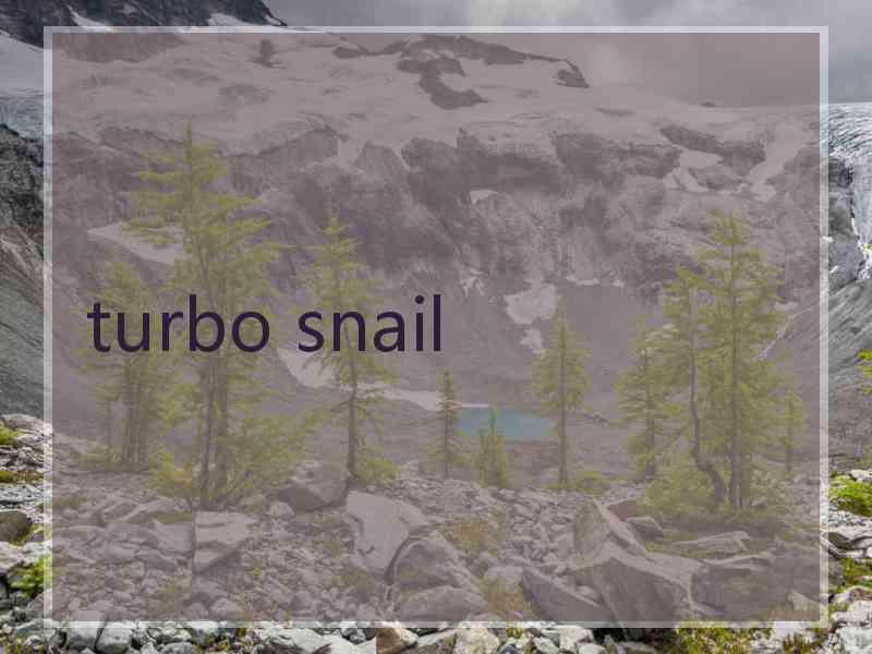 turbo snail