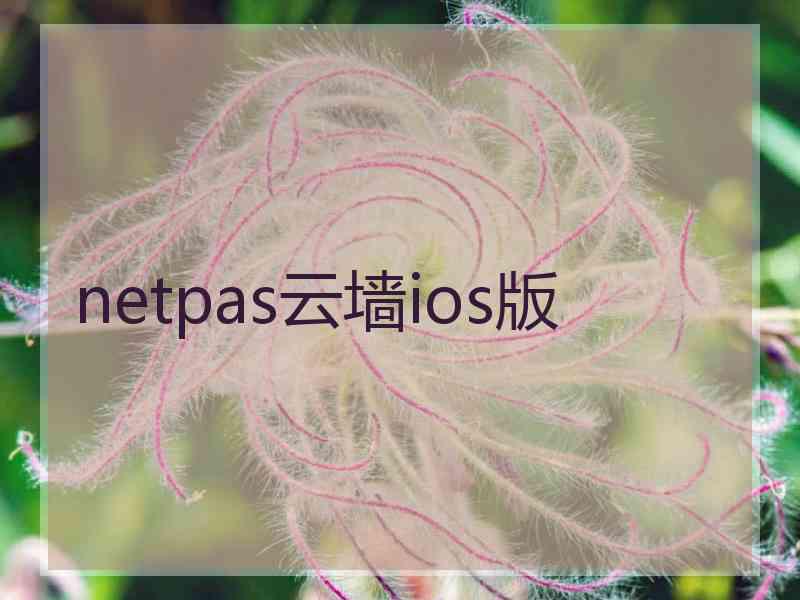 netpas云墙ios版