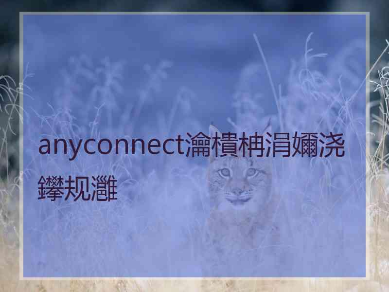 anyconnect瀹樻柟涓嬭浇鑻规灉