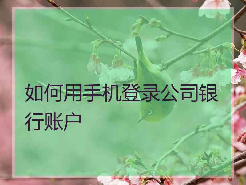 如何用手机登录公司银行账户