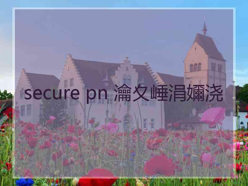 secure pn 瀹夊崜涓嬭浇