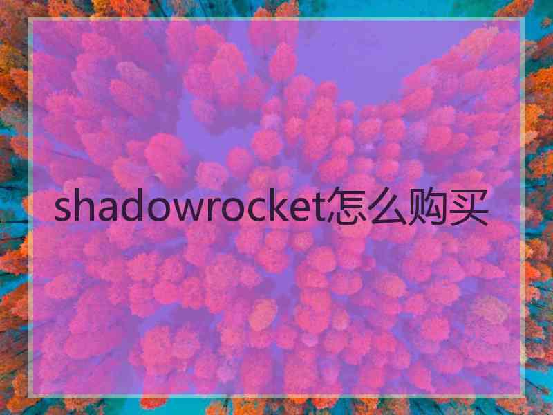 shadowrocket怎么购买