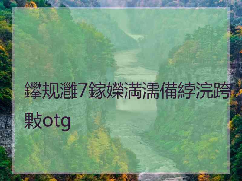 鑻规灉7鎵嬫満濡備綍浣跨敤otg