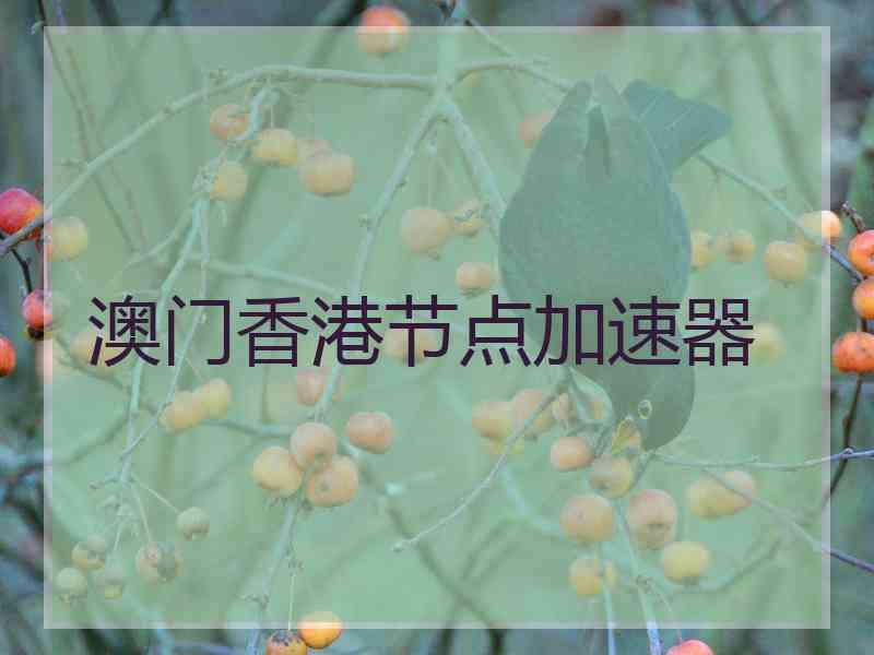 澳门香港节点加速器