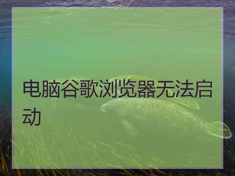 电脑谷歌浏览器无法启动