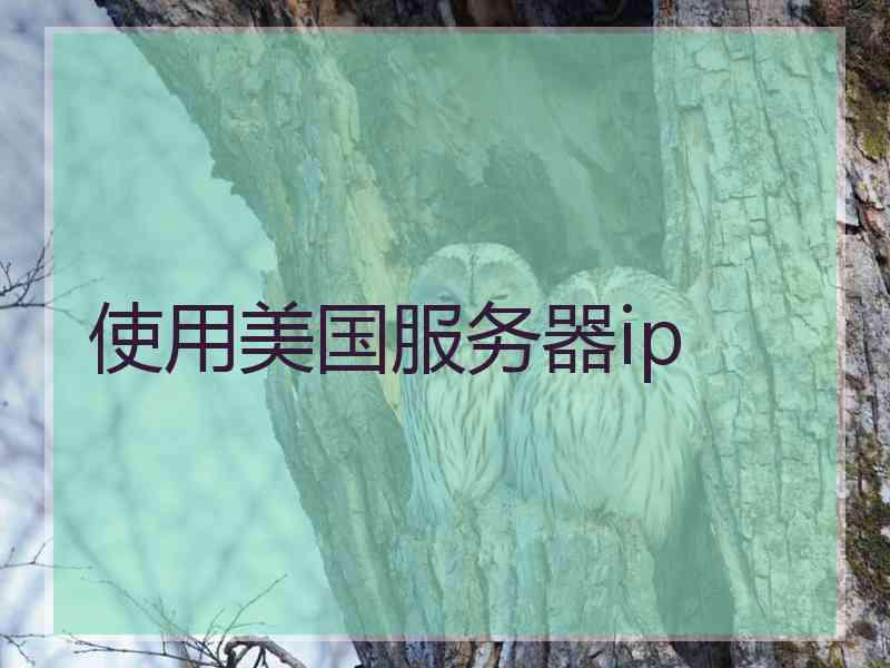 使用美国服务器ip