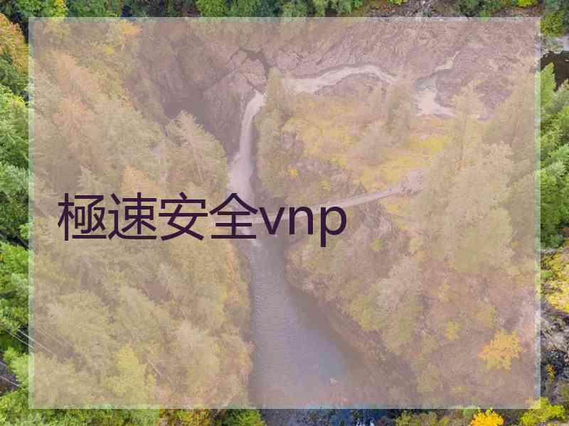 極速安全vnp