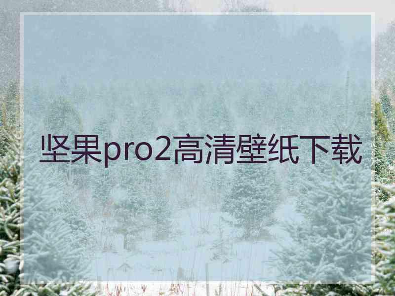 坚果pro2高清壁纸下载