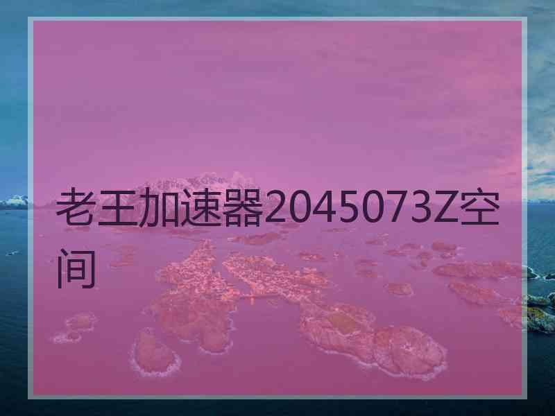 老王加速器2045073Z空间