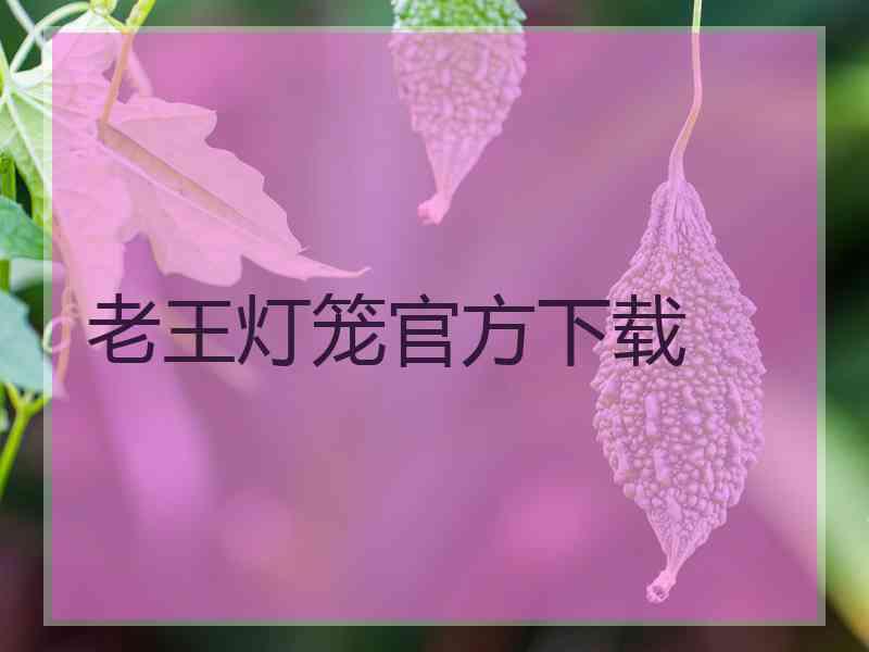 老王灯笼官方下载