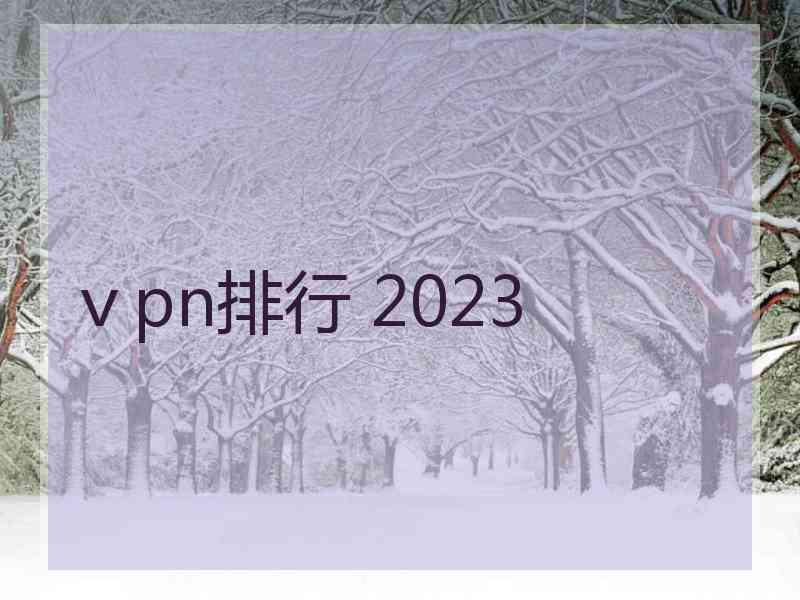 ⅴpn排行 2023