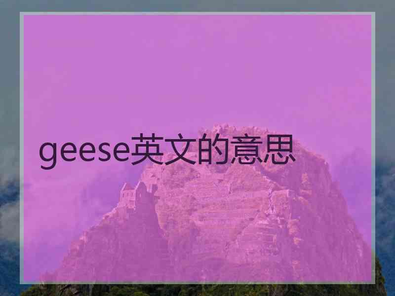 geese英文的意思