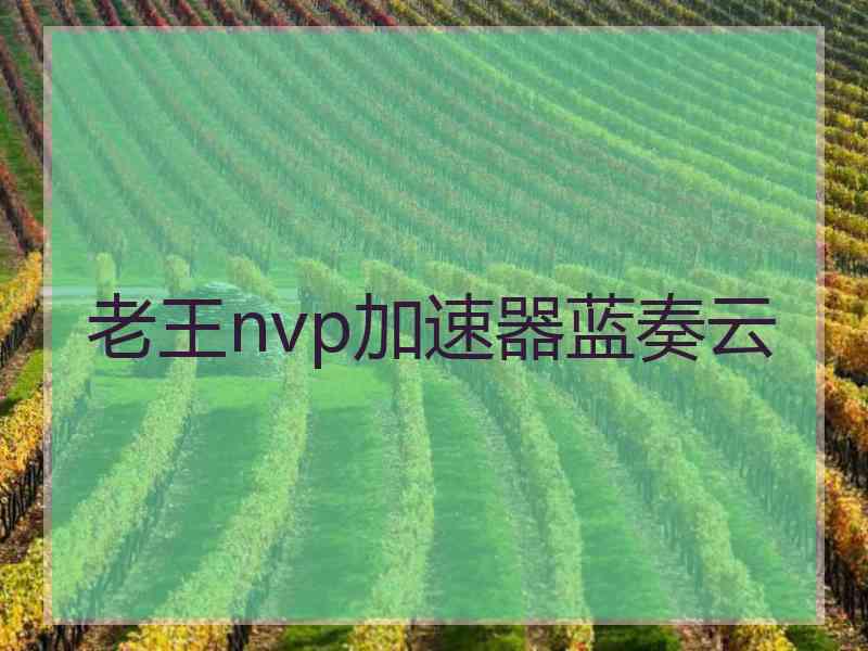 老王nvp加速器蓝奏云