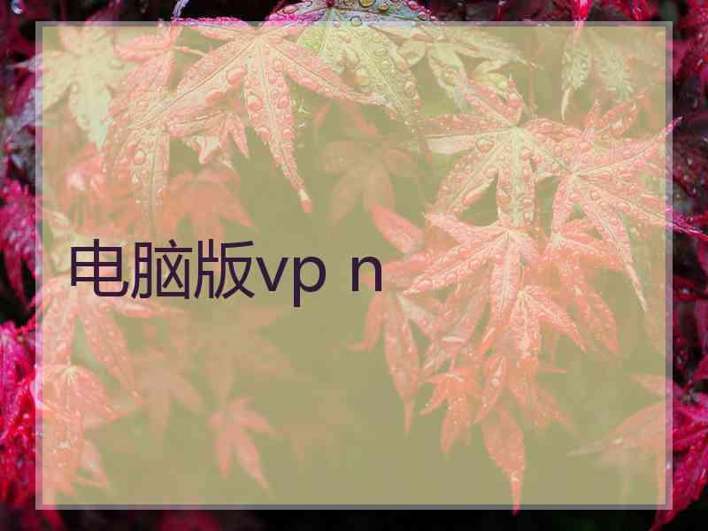 电脑版vp n